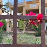 Impresionante De Lujo Con Jardin Εστεπόνα
