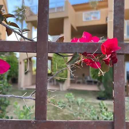 Impresionante De Lujo Con Jardin Эстепона