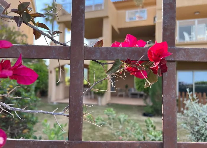 Impresionante De Lujo Con Jardin 에스테포나